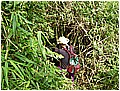 2008-3-30 下午 02-20-55-下山了17.jpg